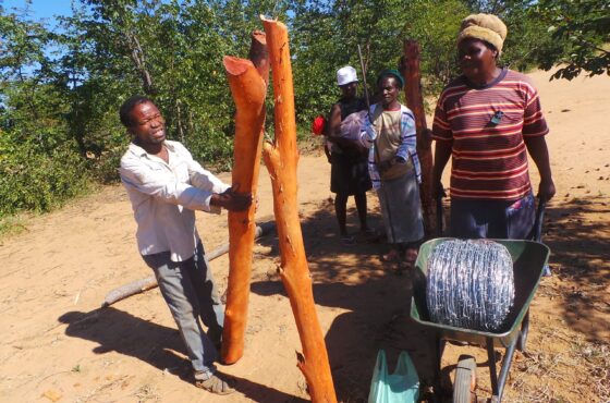 Empowering Communities in Nkayi District