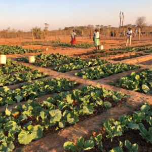 Women involved in income genrating projects.