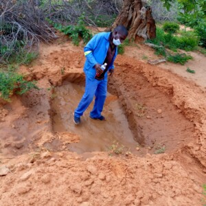 Mr. Wilton Mlotshwa - Ward 28, pictured here standing inside one of the open ditches that he excavated. The open ditches or sink holes are excavations that are constructed infield and along buffer strips to harvest and control storm water, conserve the soil and subsequently combat effects of drought and/or highly erosive rain - which are a common occurrence in the Nkayi region