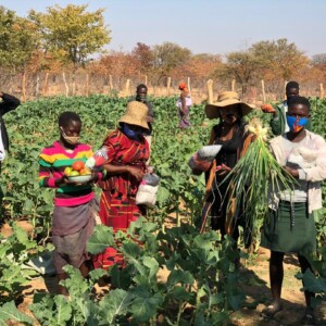 Not to be outdone by their parents, the youth show off their produce from the gardens