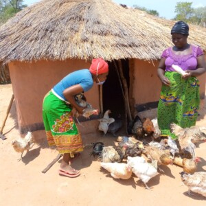 These ladies were pictured in November last year showing off their poultry project Sbhongo area, Ward 28,